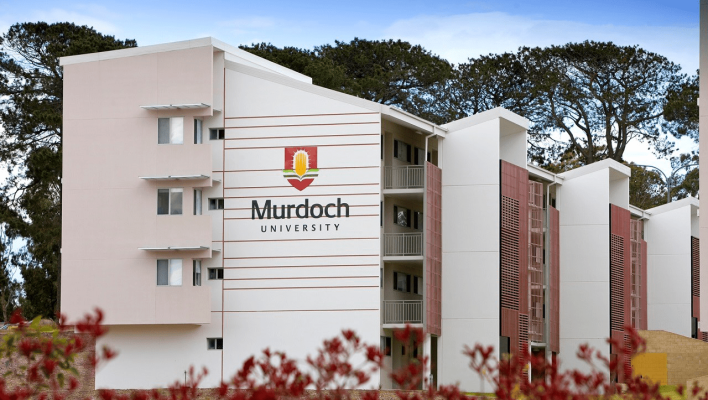 Đại học Murdoch